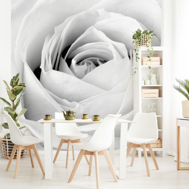 Wallpaper - Close Up Rose