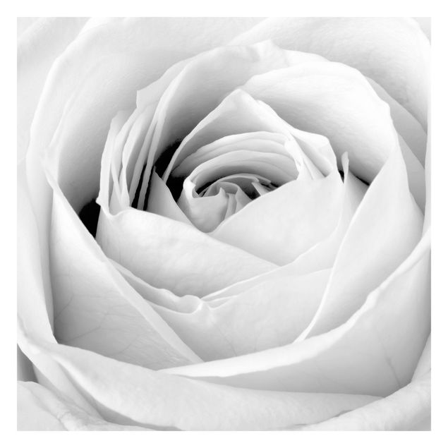 Wallpaper - Close Up Rose