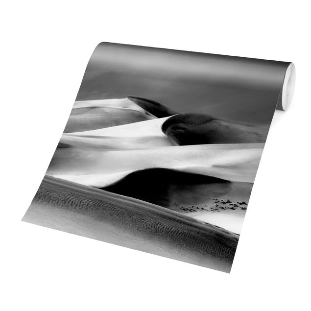 Wallpaper - Colorado Dunes Black And White