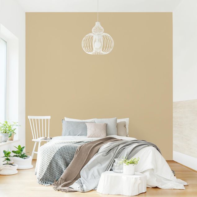 Wallpapers Colour Light Brown
