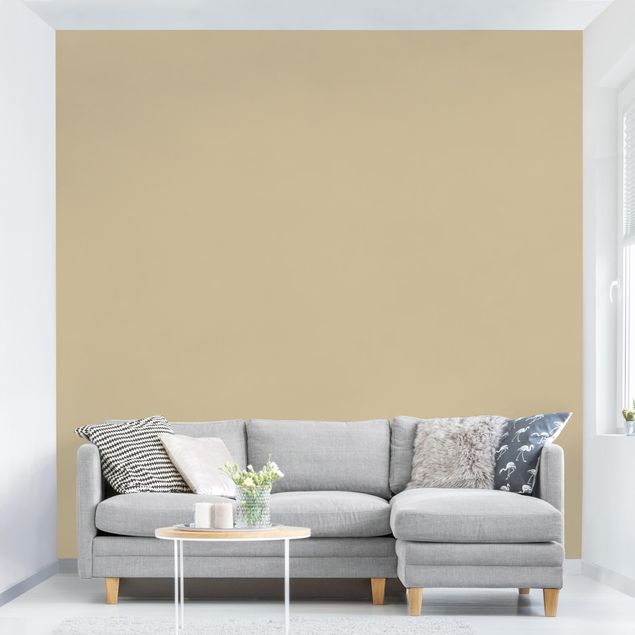 Wallpaper - Colour Light Brown