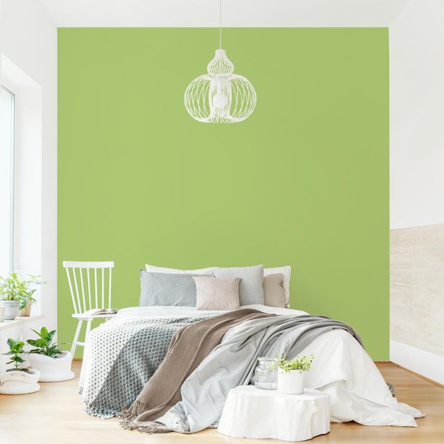 Wallpaper - Colour Spring Green