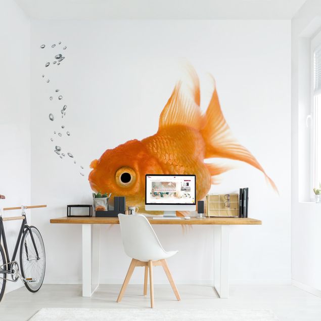 Wallpaper - Colourful Fish