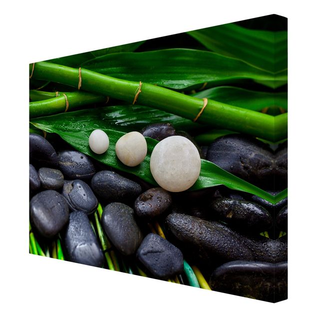 Print on canvas - Green Bamboo With Zen Stones
