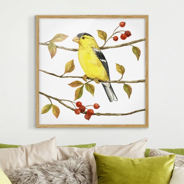 Framed poster - Birds And Berries - American Goldfinch