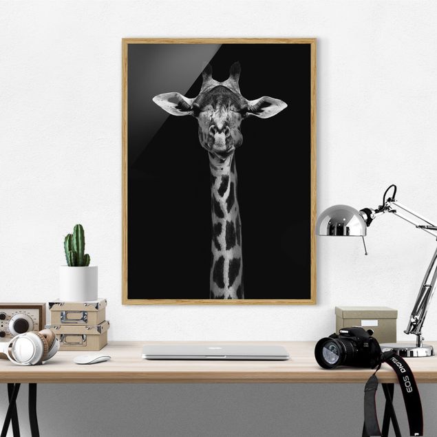 Framed poster - Dark Giraffe Portrait