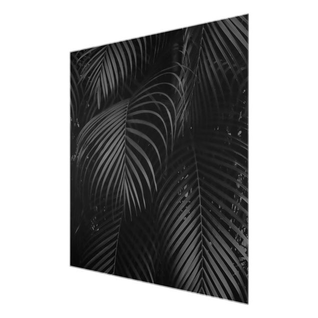 Glass print - Black Palm Fronds