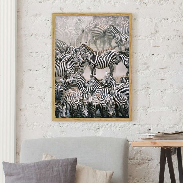 Framed poster - Zebra Herd