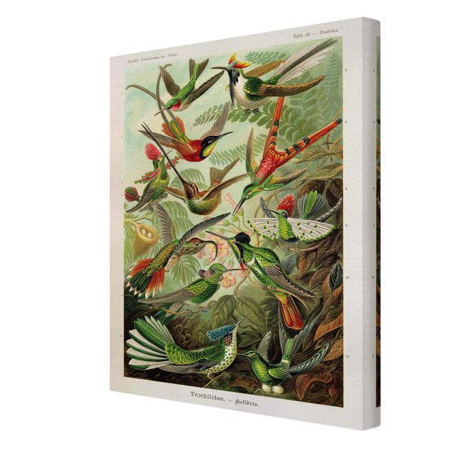 Print on canvas - Vintage Board Hummingbirds