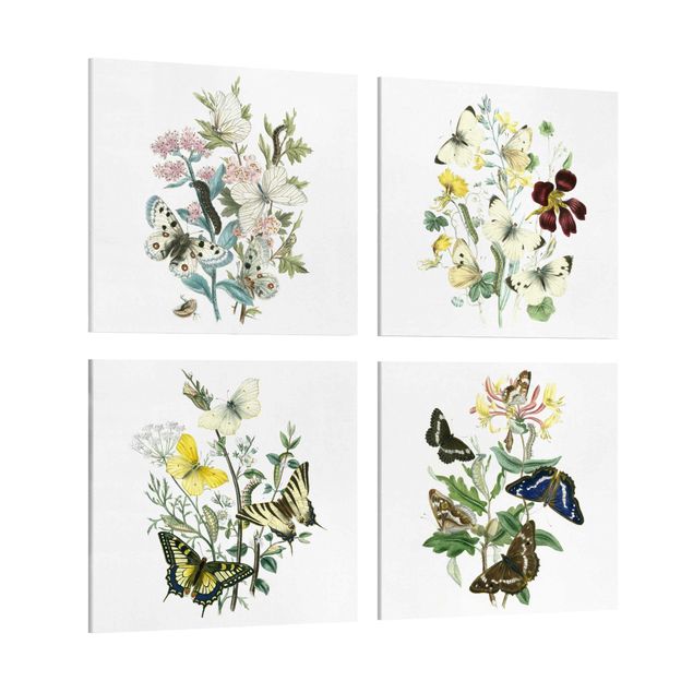 Print on canvas - British Butterflies Set II