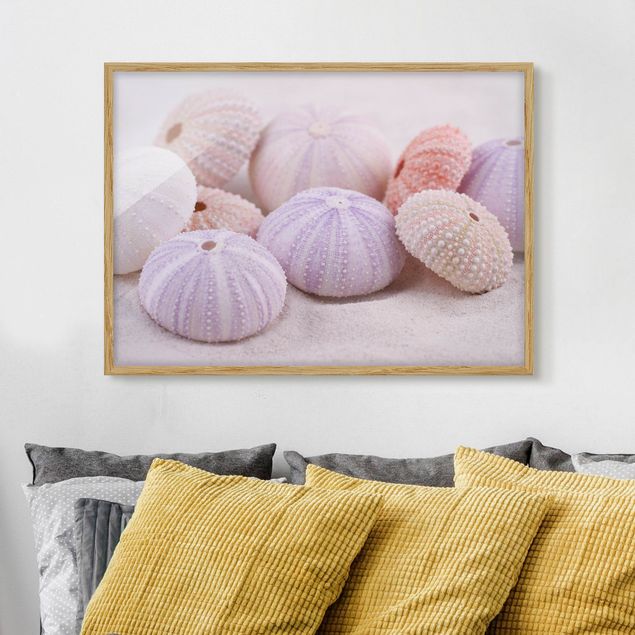 Framed poster - Sea Urchin In Pastel