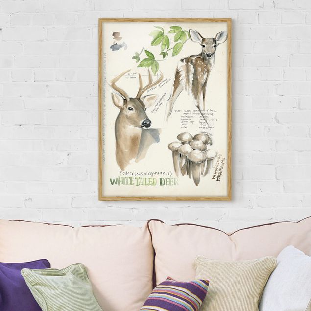 Framed poster - Wilderness Journal - Deer