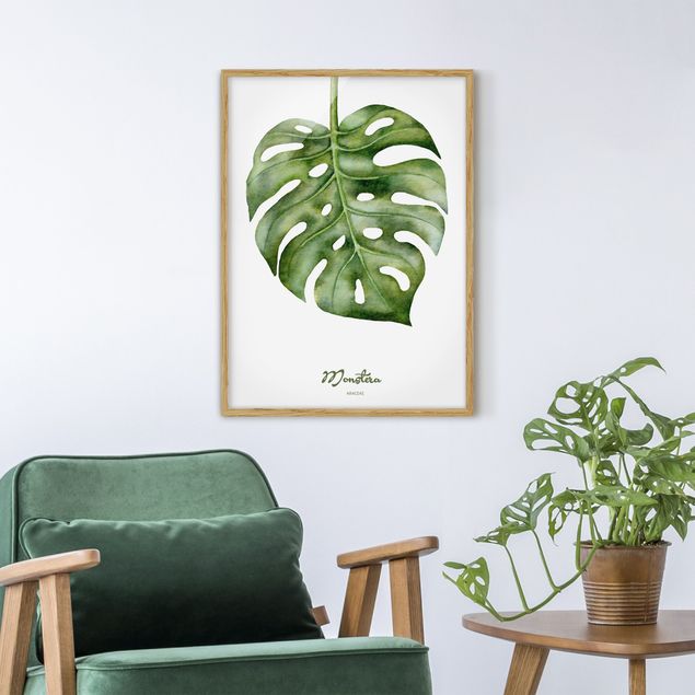 Framed poster - Watercolour Botany Monstera
