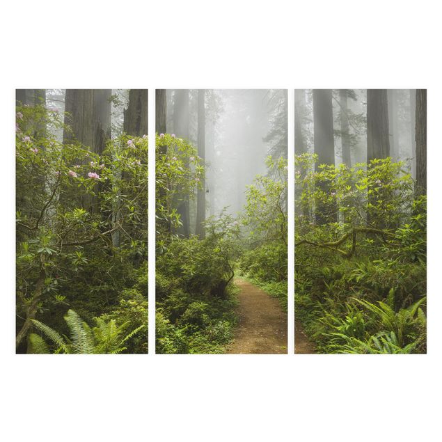 Print on canvas 3 parts - Misty Forest Path