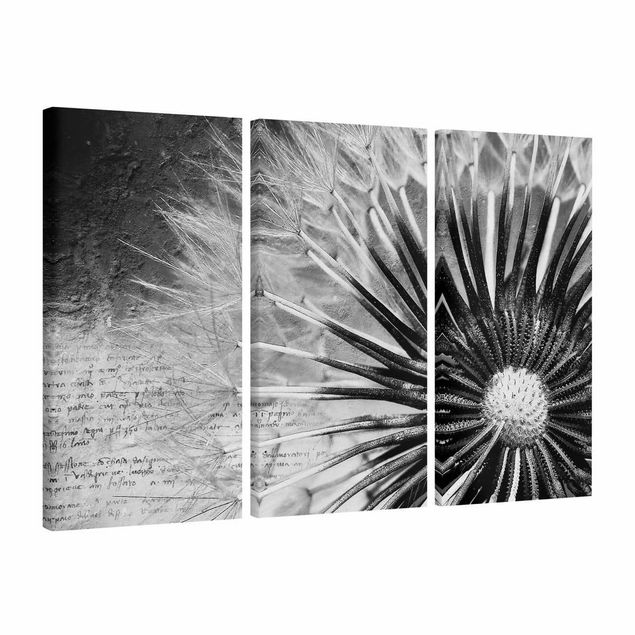 Print on canvas 3 parts - Dandelion Black & White
