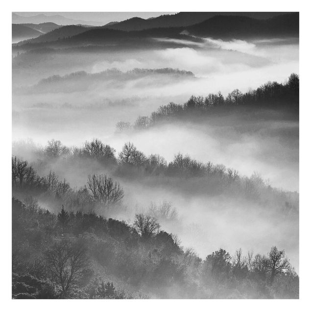 Adhesive wallpaper forest - Fog At Sunset Black And White