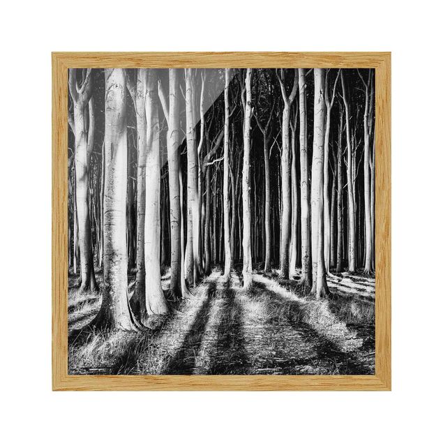 Framed poster - Spooky Forest