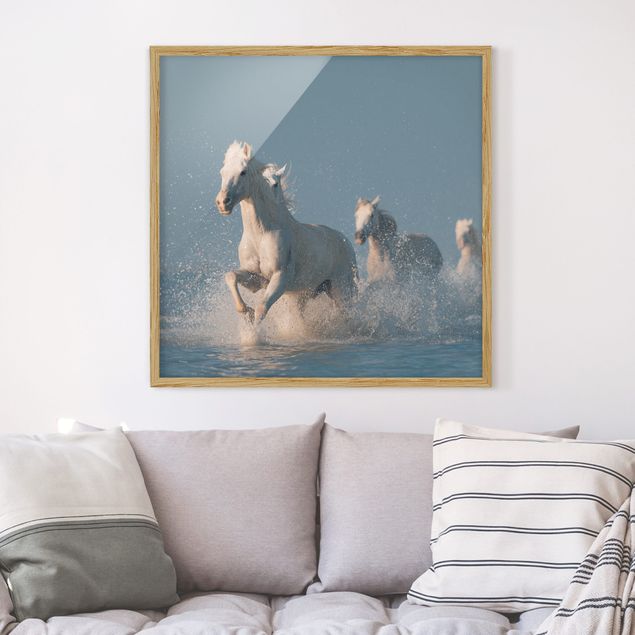 Framed poster - Herd Of White Horses