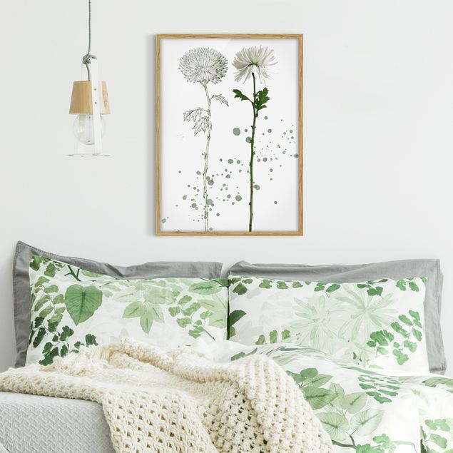 Framed poster - Botanical Watercolour - Dandelion