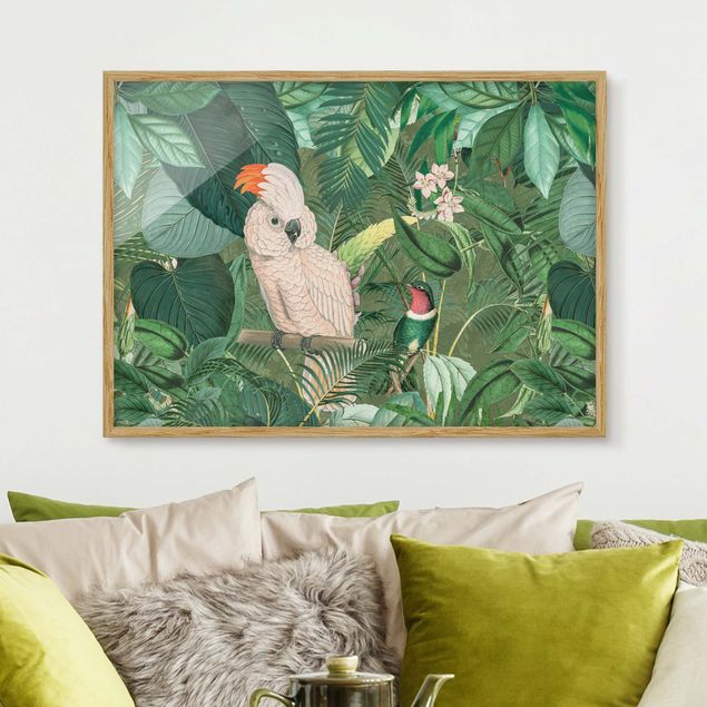 Framed poster - Vintage Collage - Kakadu And Hummingbird