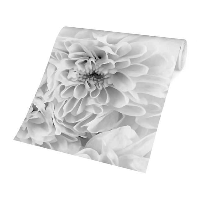 Wallpaper - Dahlia Close-up Black And White