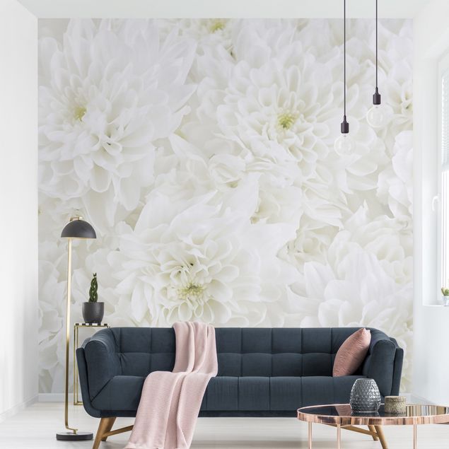 Wallpapers Dahlias Sea Of Flowers White
