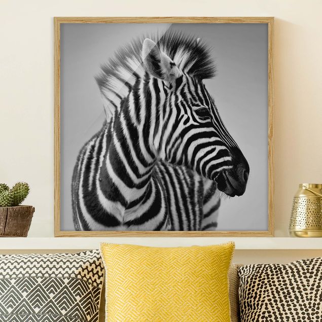 Framed poster - Zebra Baby Portrait II