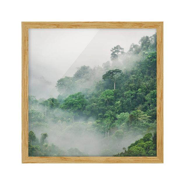 Framed poster - Jungle In The Fog