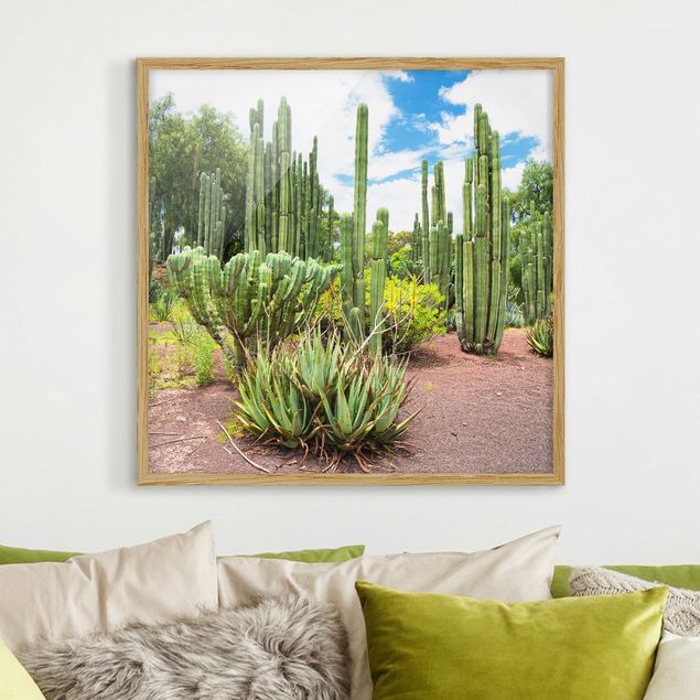 Framed poster - Cactus Landscape