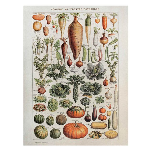 Print on canvas - Vintage Board Vegetables
