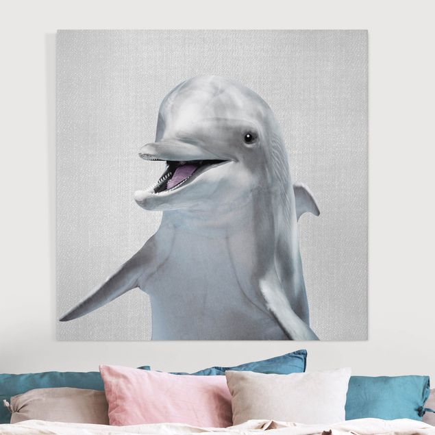 Canvas print - Dolphin Diddi - Square 1:1