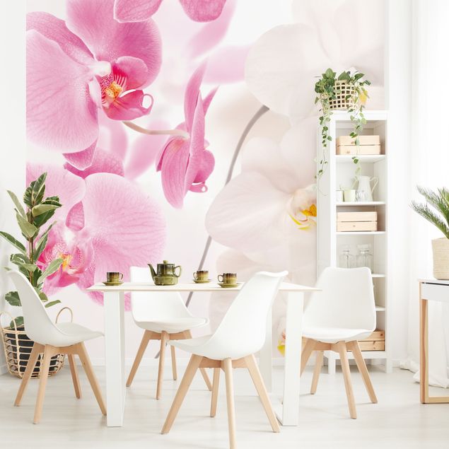 Wallpaper - Delicate Orchids