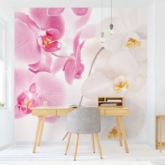 Wallpaper - Delicate Orchids