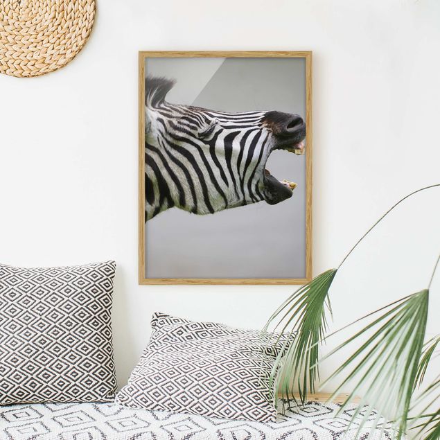Framed poster - Roaring Zebra