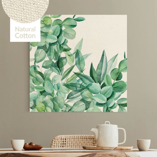 Natural canvas print - Thicket Eucalytus Leaves Watercolour - Square 1:1