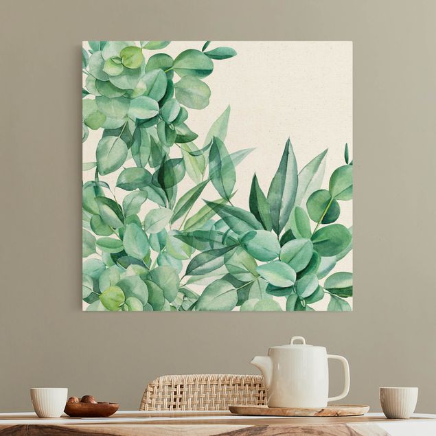 Natural canvas print - Thicket Eucalytus Leaves Watercolour - Square 1:1
