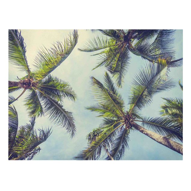 Canvas print - The Palm Trees