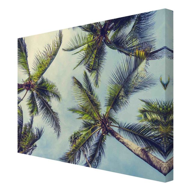 Canvas print - The Palm Trees