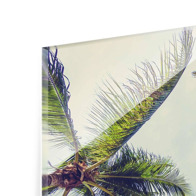 Glass print - The Palm Trees