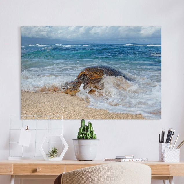 Print on canvas - The Turtle Returns Home - Landscape format 3:2