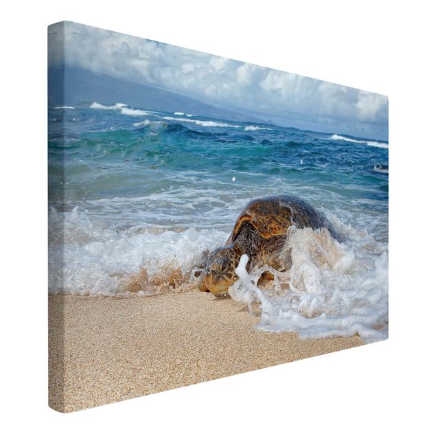 Print on canvas - The Turtle Returns Home - Landscape format 3:2