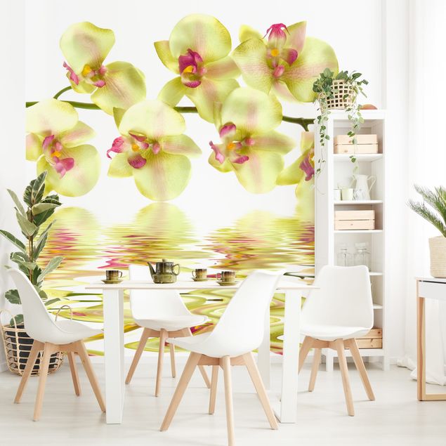 Wallpaper - Dreamy Orchid Waters