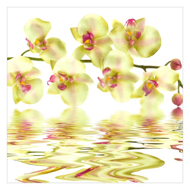 Wallpaper - Dreamy Orchid Waters