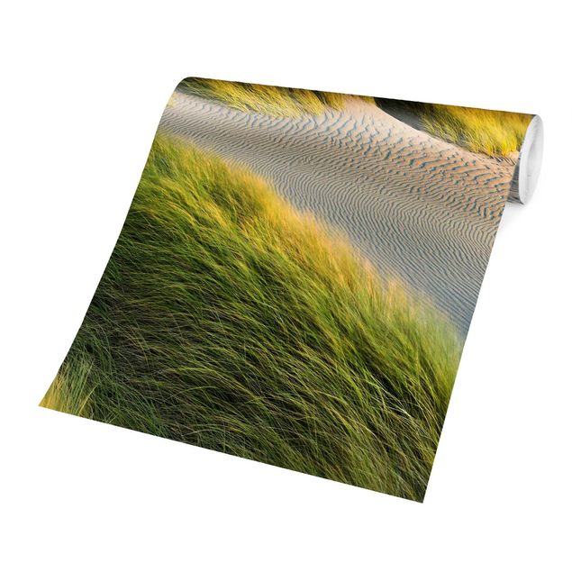 Wallpaper - Dunes And Grasses At The Sea