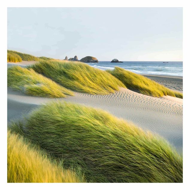 Wallpaper - Dunes And Grasses At The Sea