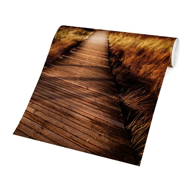 Wallpaper - Dune Path On Sylt