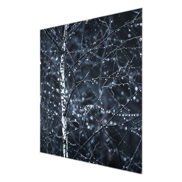 Glass print - Dark Birch Tree In Cold Rain
