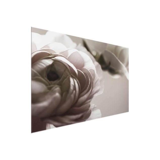 Glass print - Focus On Dark Flower