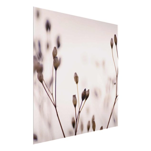 Glass print - Dark Buds On Wild Flower Twig
