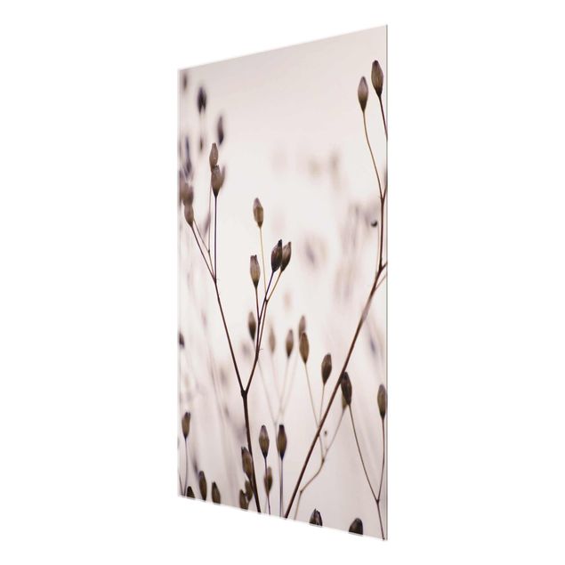 Glass print - Dark Buds On Wild Flower Twig